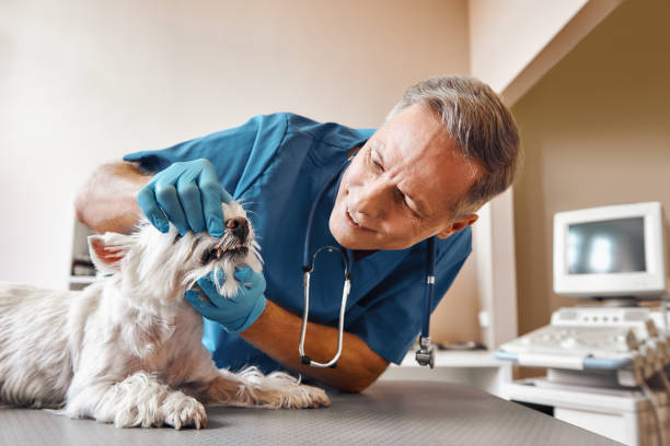 Best Emergency Root Canal Treatment in North Middletown, NJ